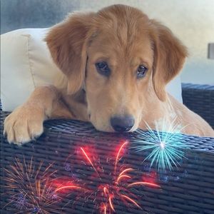 Meet your Posher, Michele